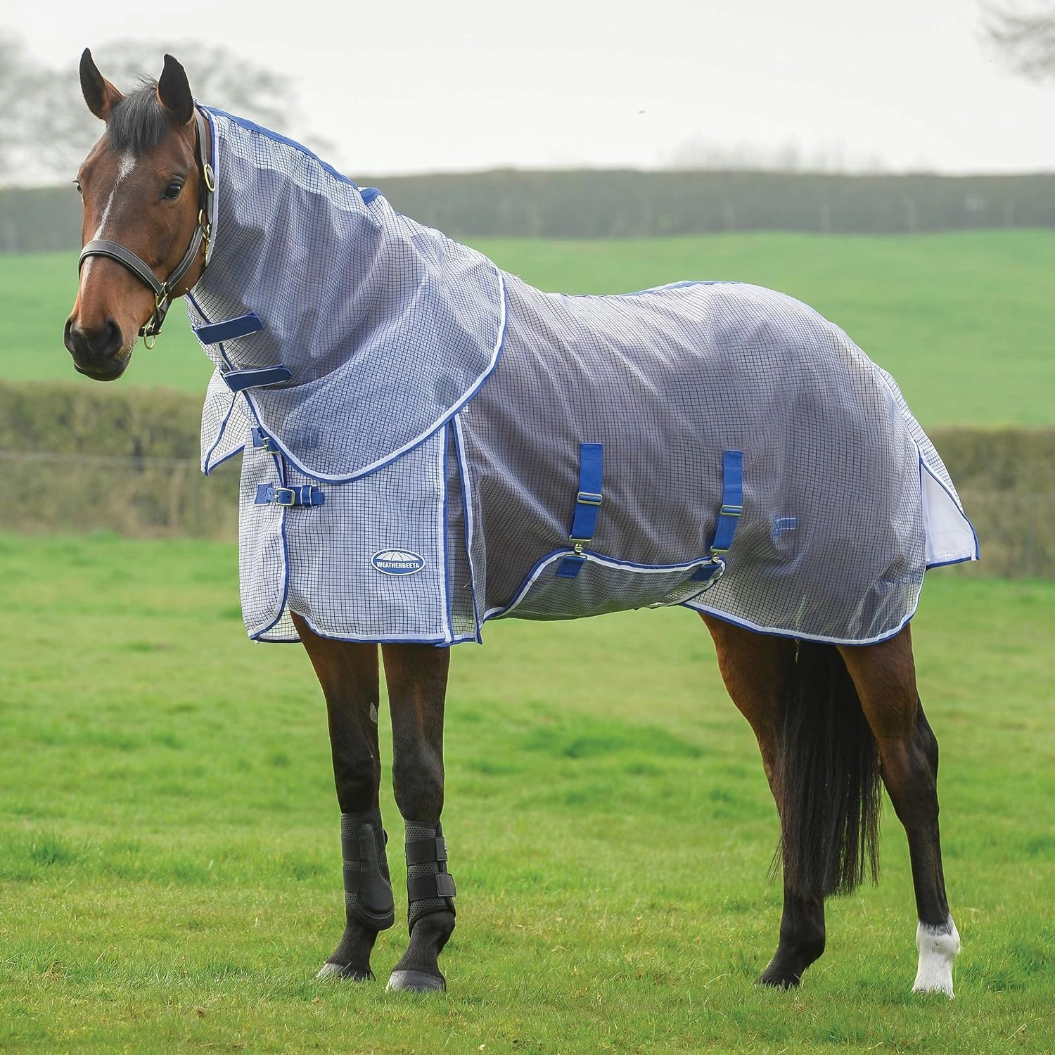 WeatherBeeta ComFITec RipShield Plus Detach-a-Neck Horse Fly Sheet