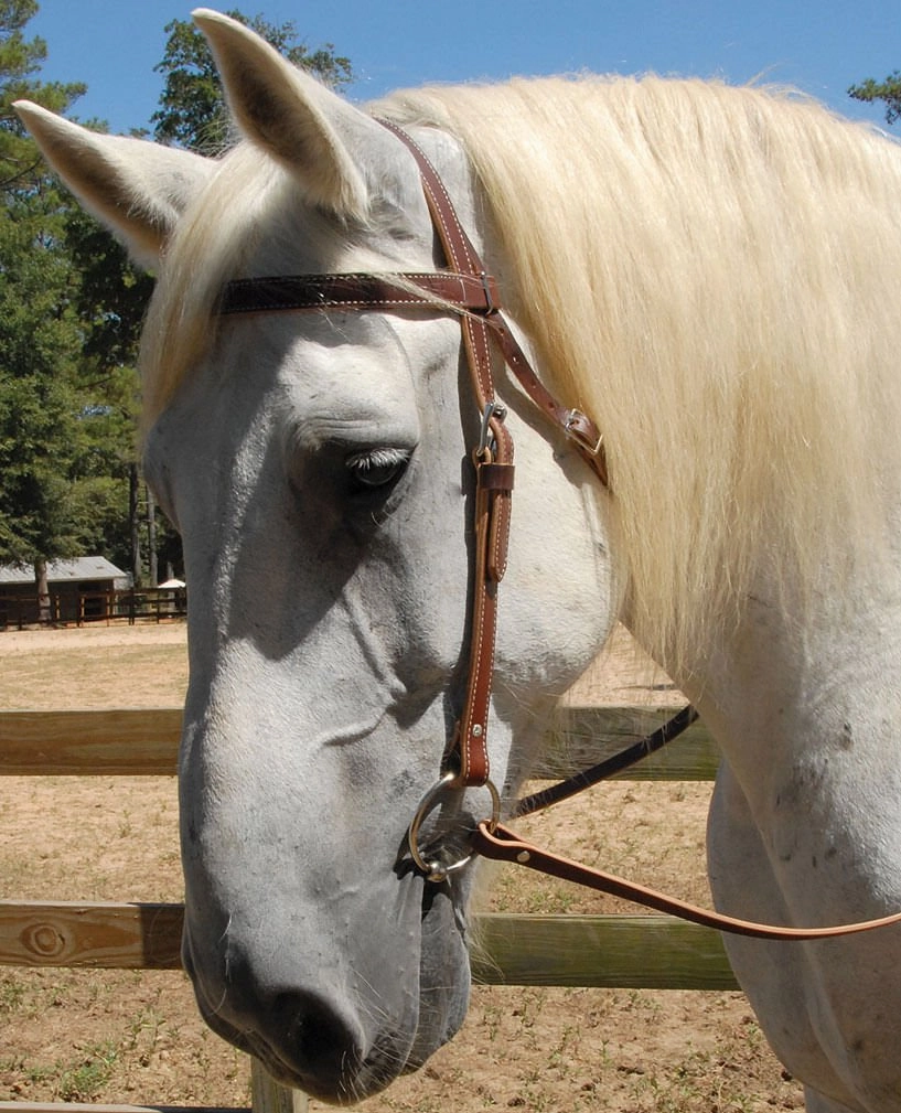 Weaver Leather Draft Horse 3 Piece - Bridle, Reins, & Snaffle Bit Set