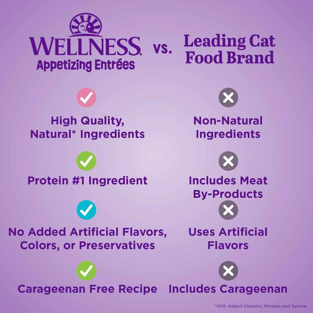 Wellness Appetizing Entrees Shredded Chicken & Duck Adult Pouch Cat Food 1.4oz