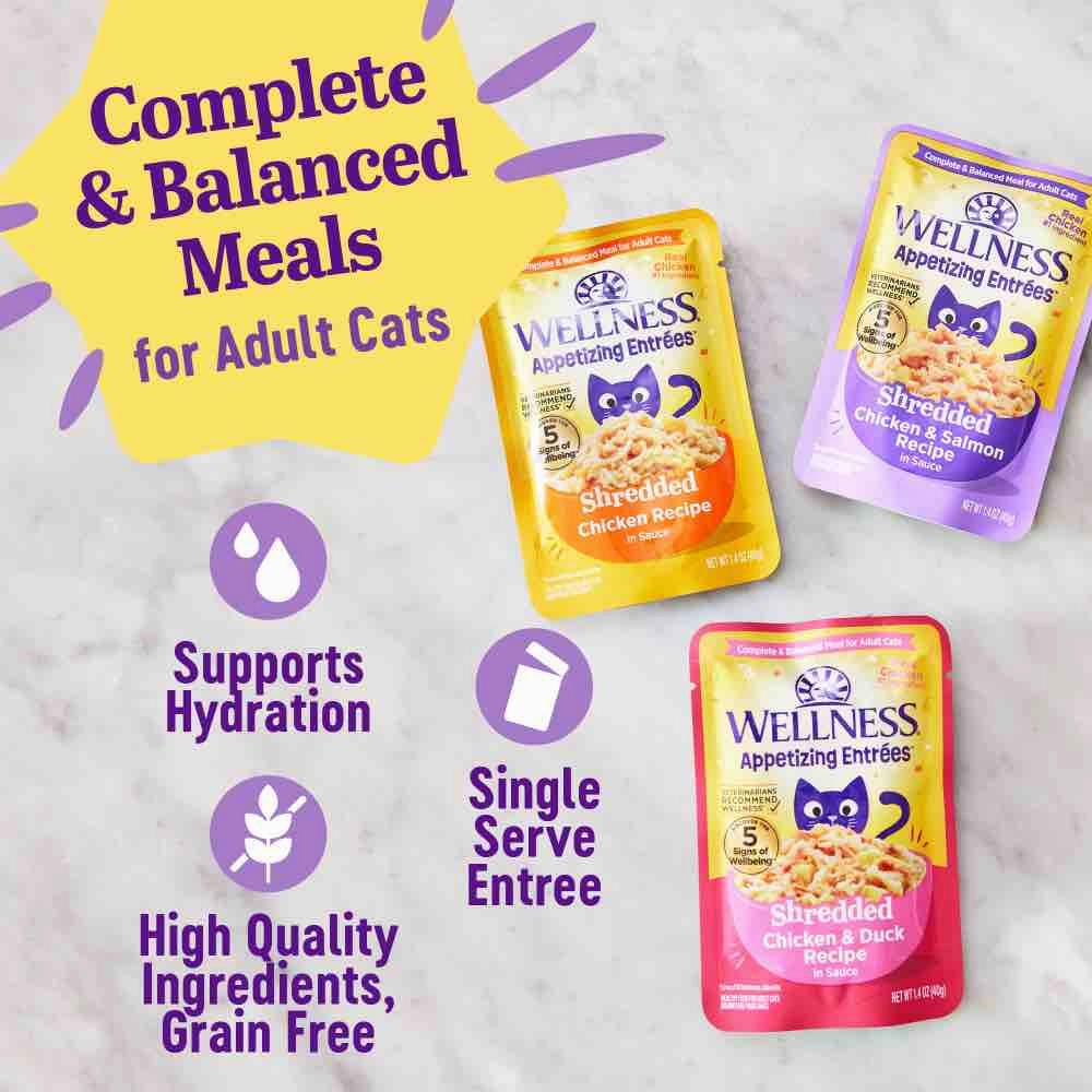 Wellness Appetizing Entrees Shredded Chicken & Duck Adult Pouch Cat Food 1.4oz