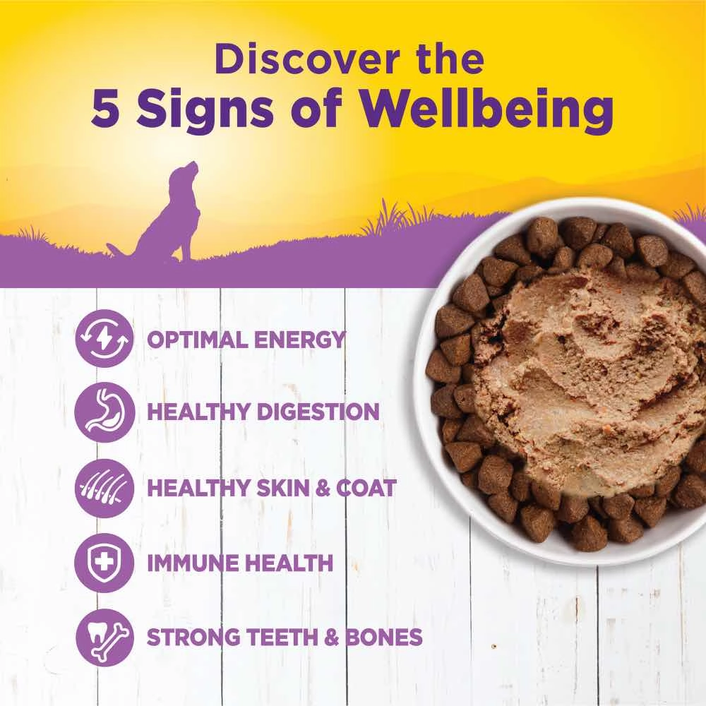 Wellness Complete Health Age Advantage Senior Canned Dog Food 354g