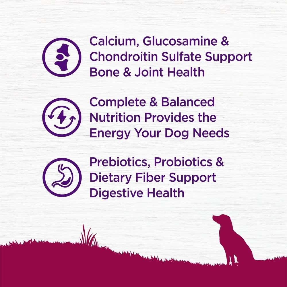 Wellness Complete Health Small Breed Turkey & Peas Senior Dry Dog Food 4lb