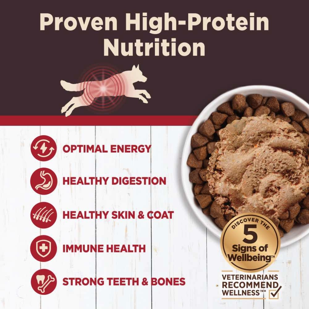 Wellness CORE Digestive Health Beef Grain-Free Canned Dog Food 13oz