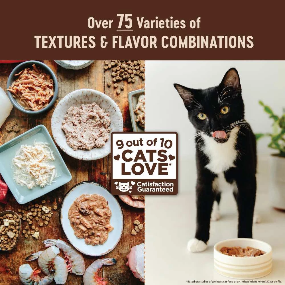Wellness Core  Digestive Health Chicken Pate Grain-Free Canned Cat Food 85g