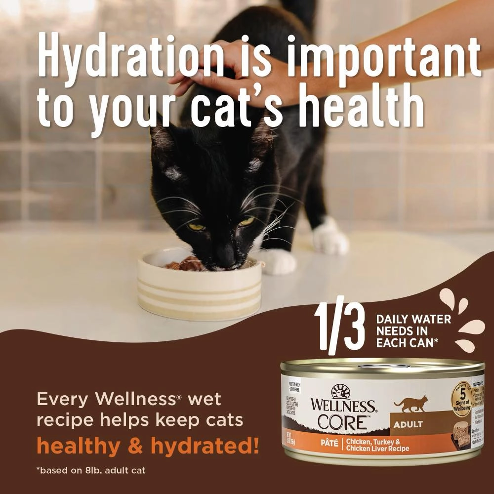 Wellness Core  Digestive Health Chicken Pate Grain-Free Canned Cat Food 85g