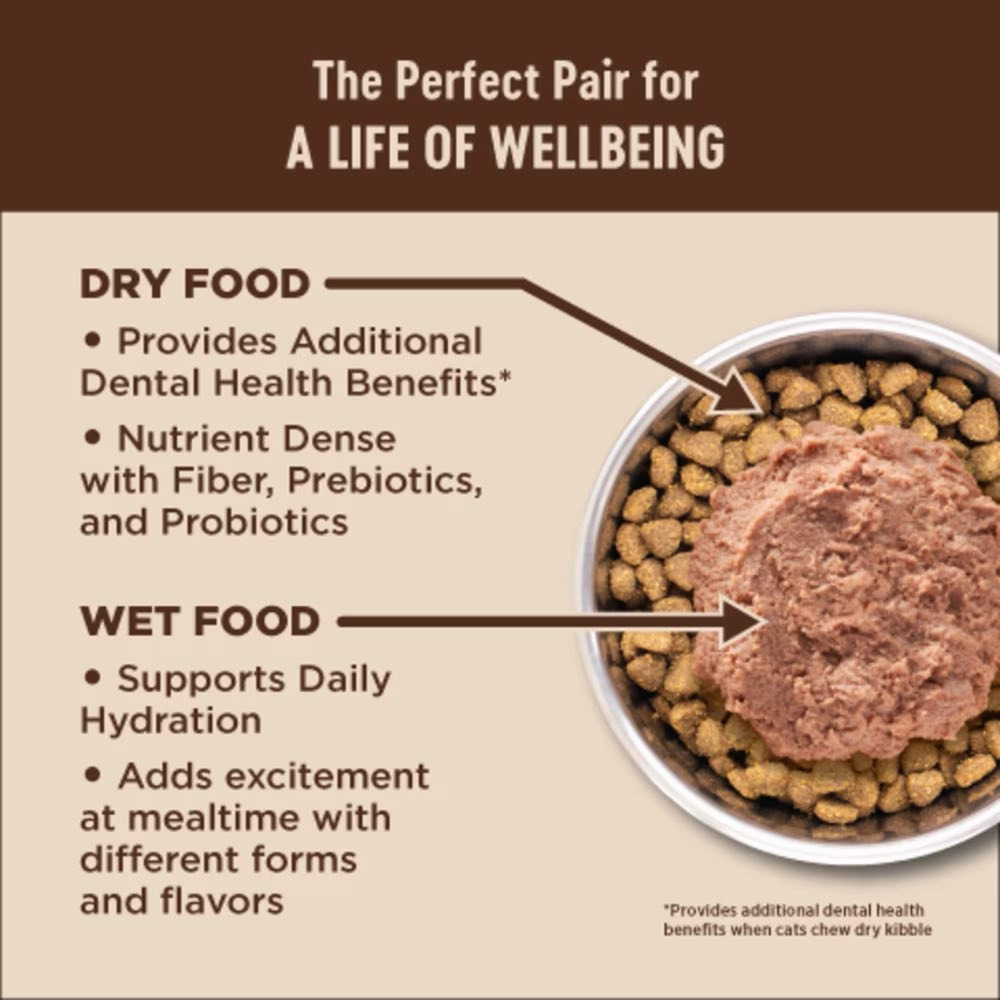 Wellness Core  Digestive Health Chicken Pate Grain-Free Canned Cat Food 85g