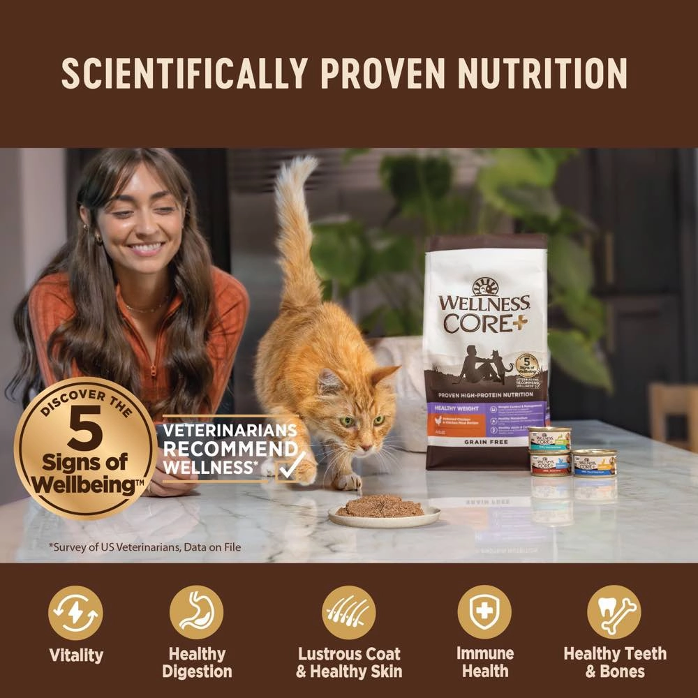 Wellness CORE Pate Kitten Turkey & Chicken Liver Grain-Free Canned Cat Food 156g