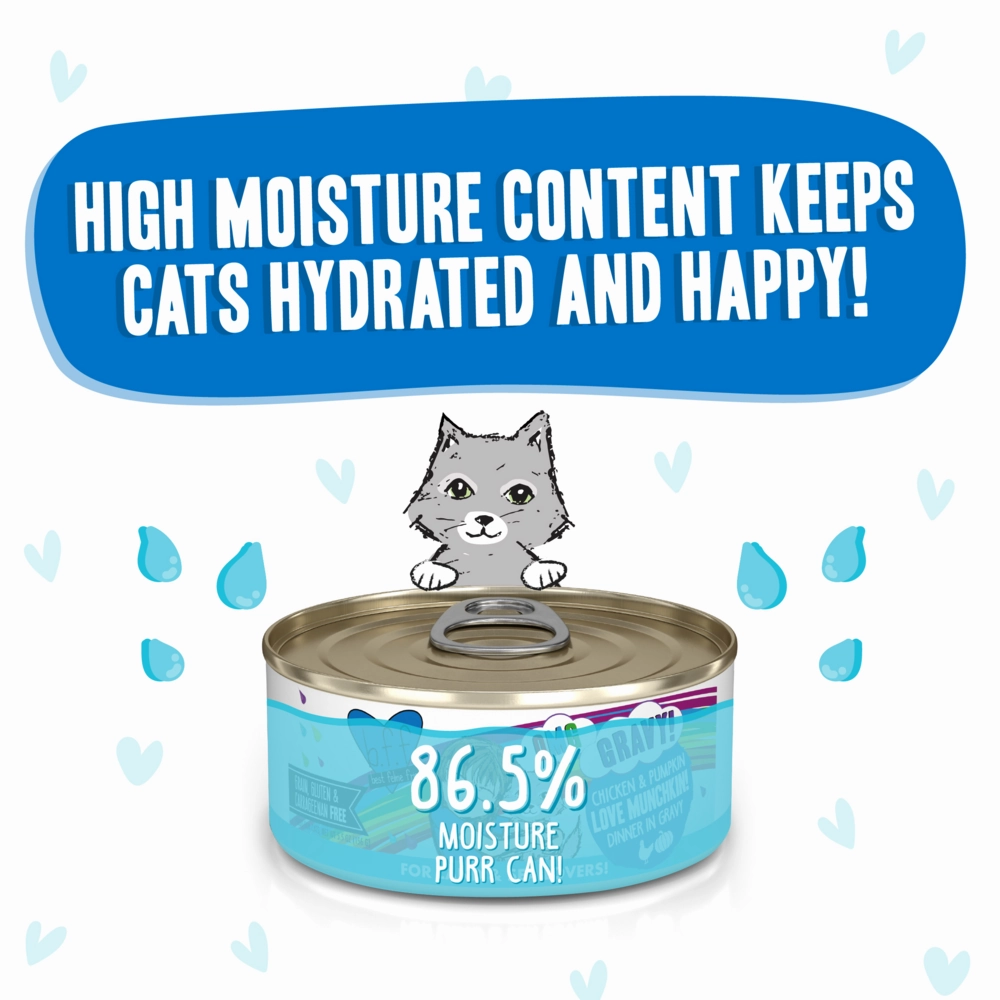 Weruva BFF Oh My Gravy Love Munchkin Grain Free Chicken & Pumpkin in Gravy Canned Cat Food
