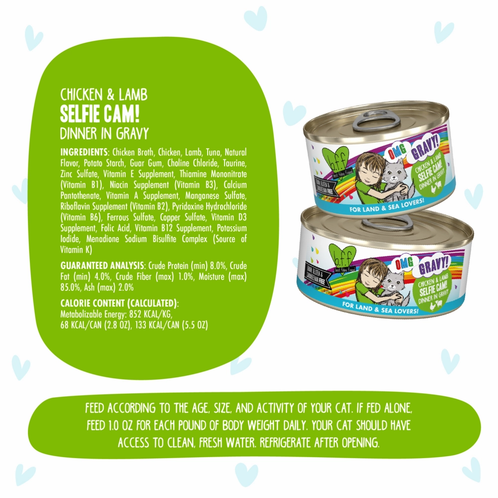 Weruva BFF Oh My Gravy Selfie Cam Grain Free Chicken & Lamb in Gravy Canned Cat Food