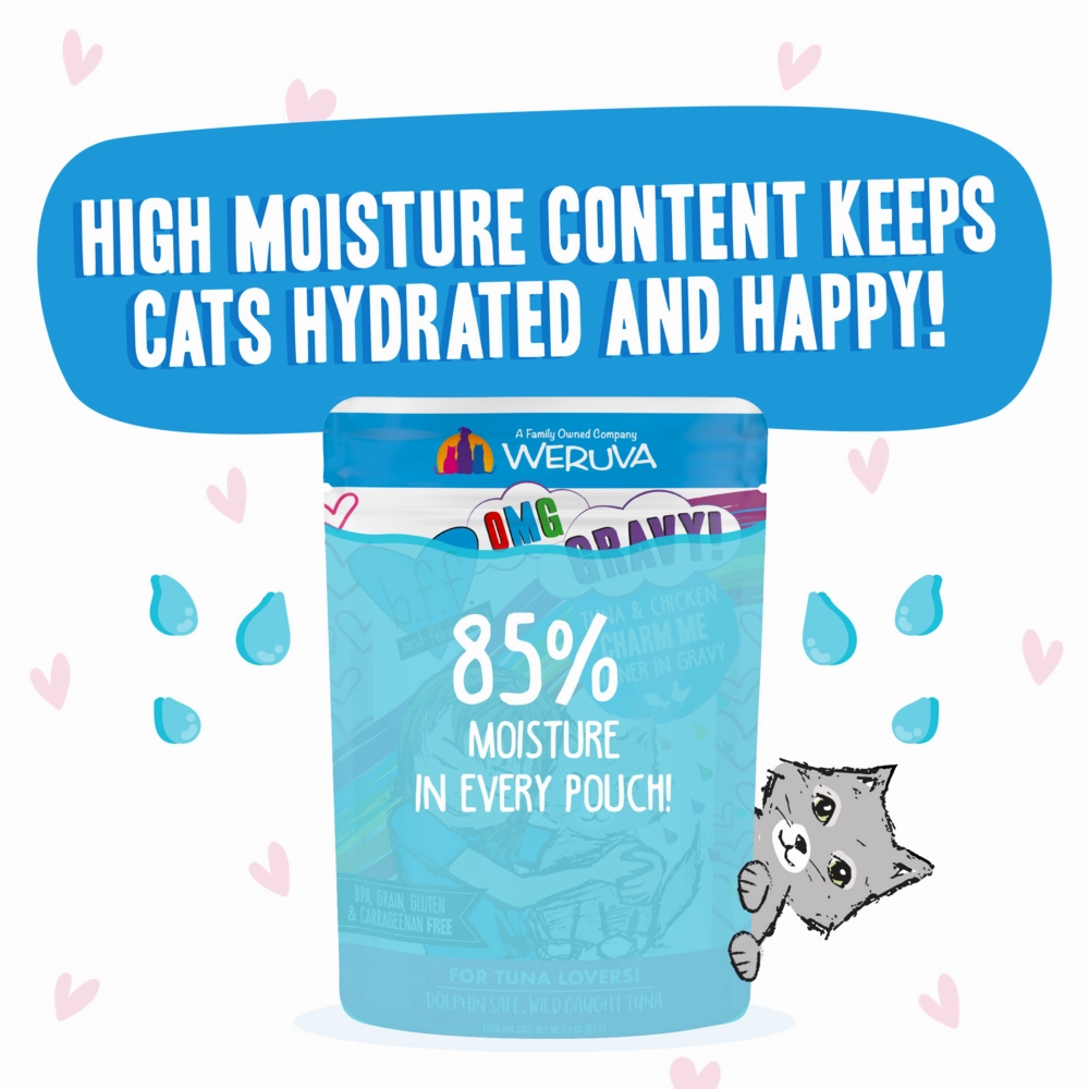 Weruva BFF Tuna & Chicken Charm Me Recipe Pouches Wet Cat Food