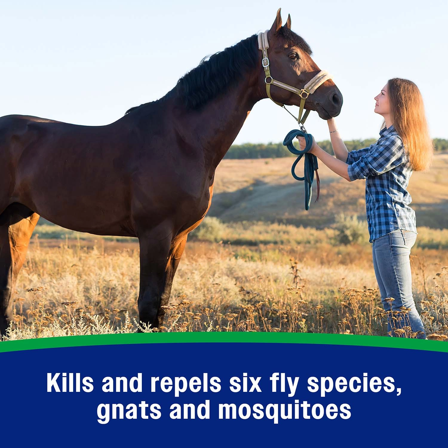 Wipe II with Citronella