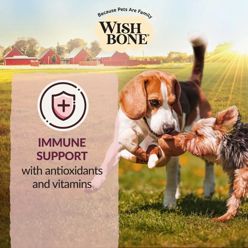 Wishbone Ocean New Zealand King Salmon Grain-Free Dry Dog Food