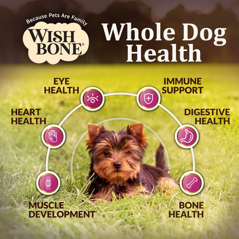 Wishbone Ocean New Zealand King Salmon Grain-Free Dry Dog Food