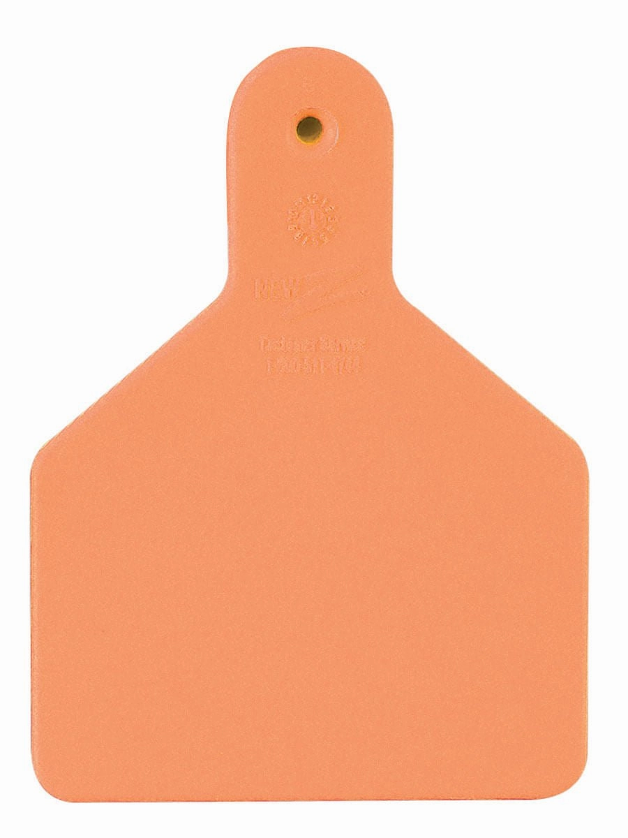 Z1 No-Snag Blank 1-Piece Ear Tags