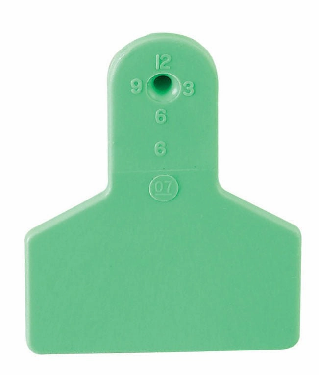 Z1 No-Snag Blank 1-Piece Ear Tags