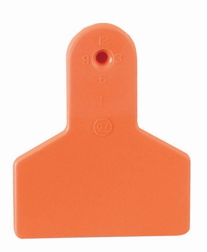 Z1 No-Snag Blank 1-Piece Ear Tags