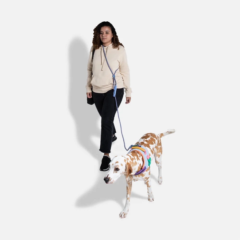 Zee.Dog Andromeda Hands Free Rope Dog Leash