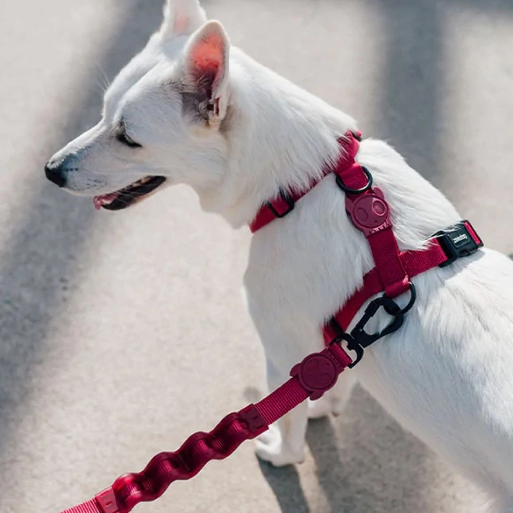 Zee.Dog Dog H-Harness (Bordeau)