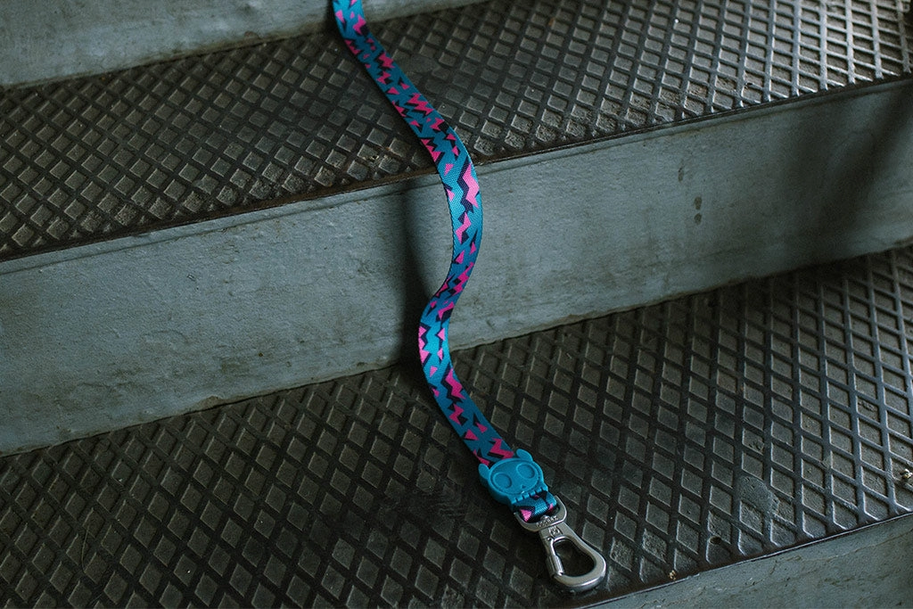 Zee.Dog Dog Leash (Crosby)