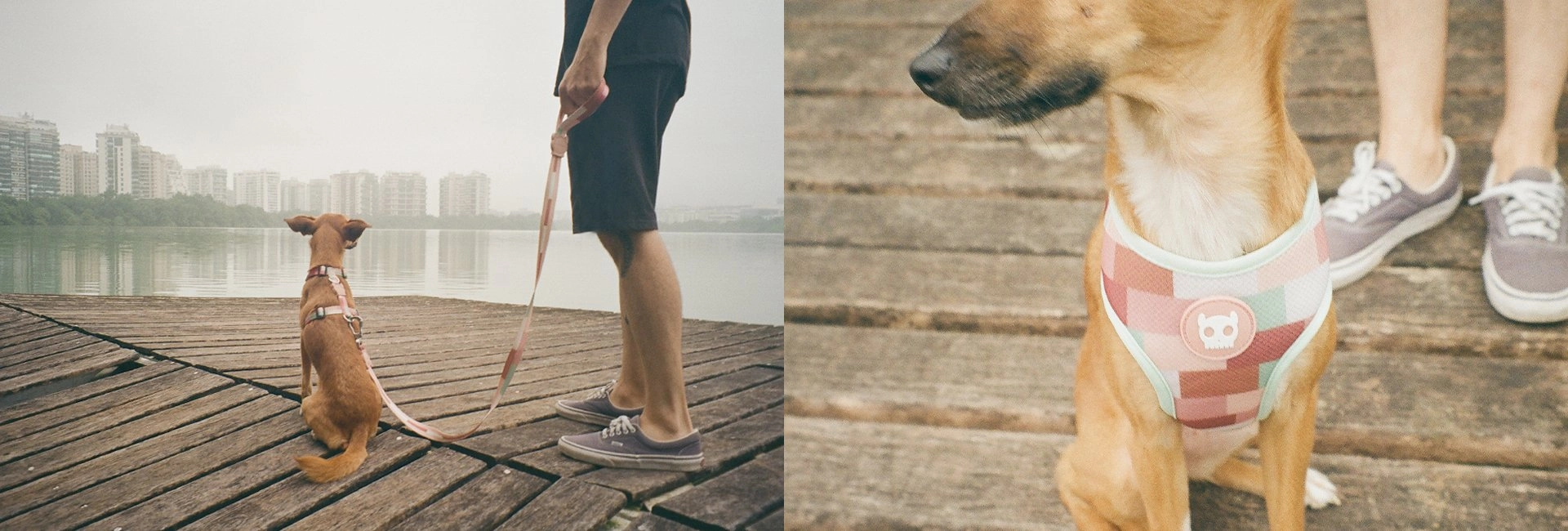 Zee.Dog Dog Leash (Laguna)
