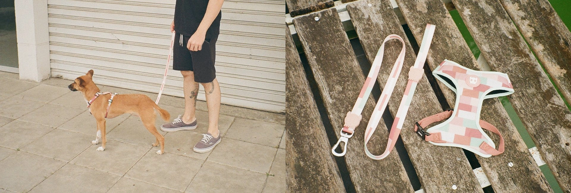 Zee.Dog Dog Leash (Laguna)