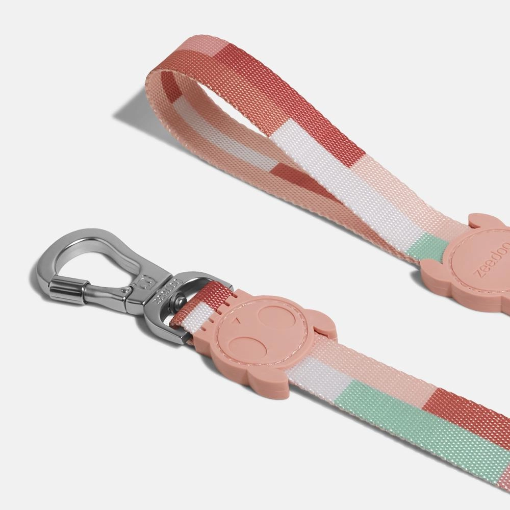 Zee.Dog Dog Leash (Laguna)