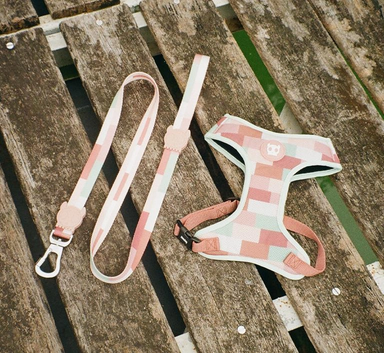 Zee.Dog Dog Leash (Laguna)