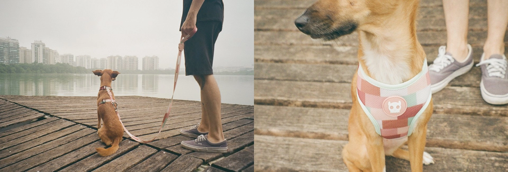 Zee.Dog Dog Leash (Laguna)