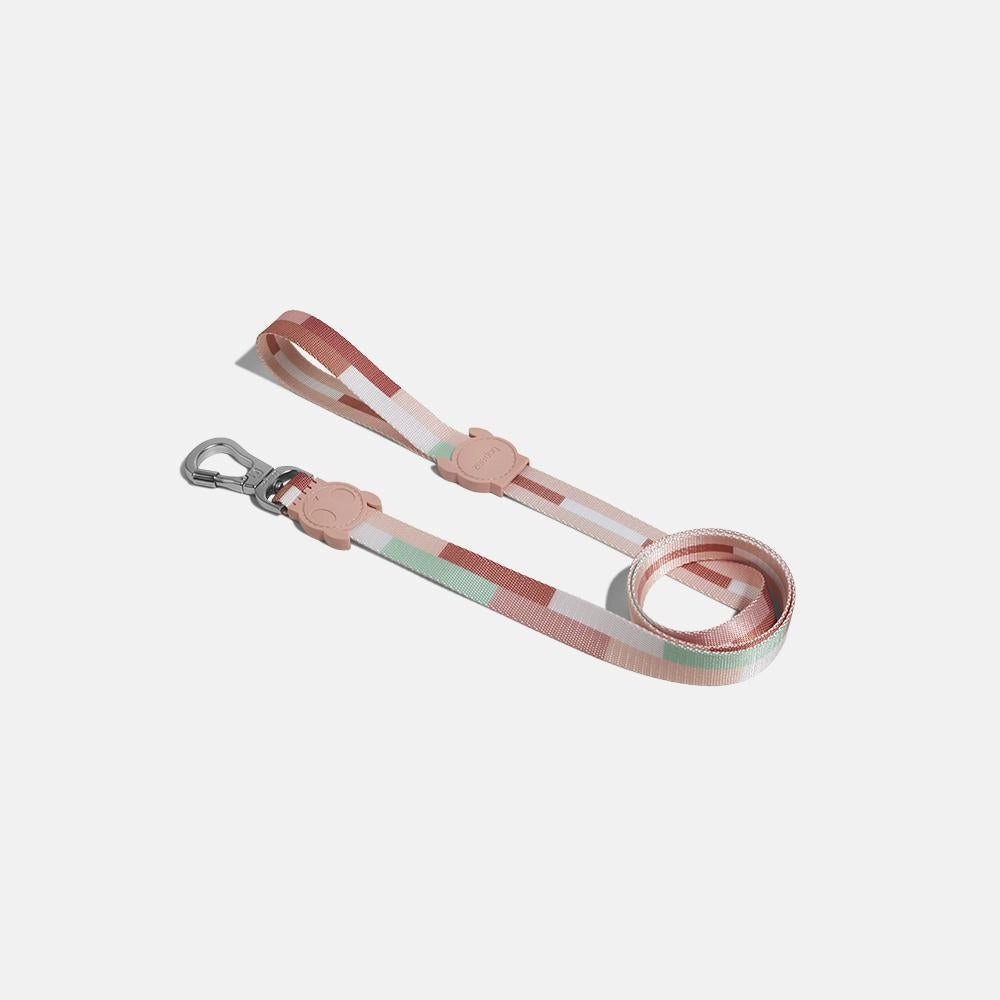 Zee.Dog Dog Leash (Laguna)