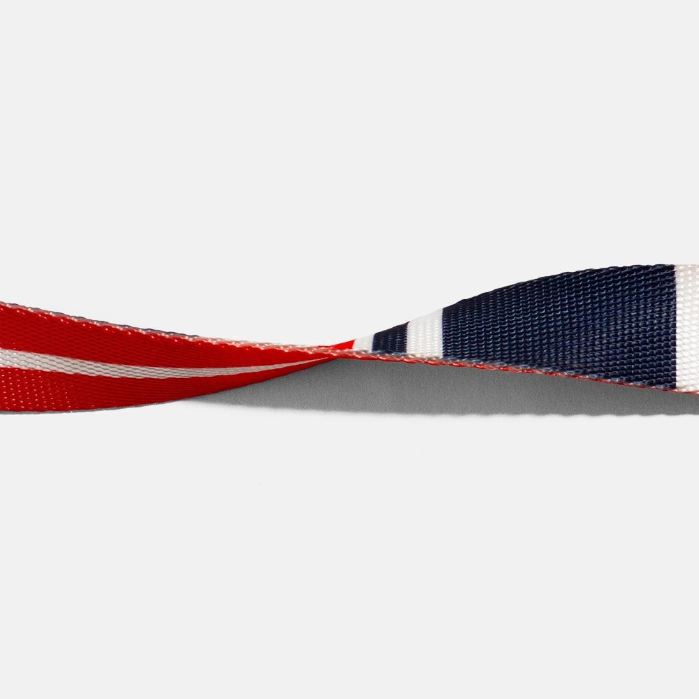 Zee.Dog Dog Leash (Rocket)