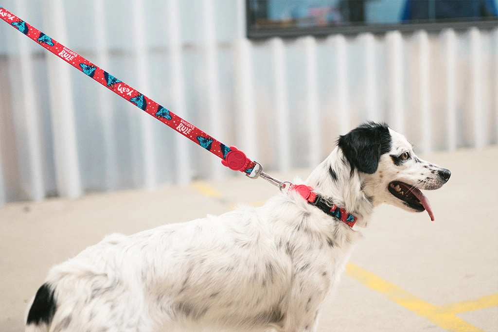 Zee.Dog Dog Leash (Uni)