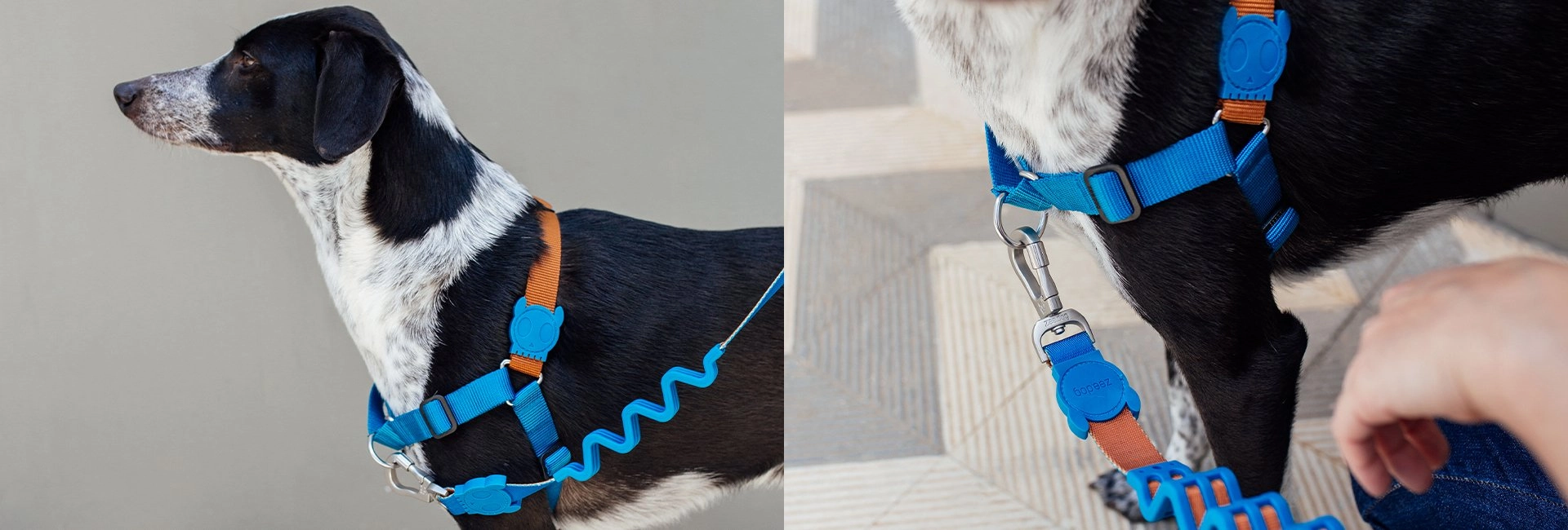 Zee.Dog Ruff Shock Absorbent Dog Leash (Delta)