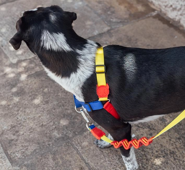 Zee.Dog Soft-Walk Dog Harness (Puzzle)