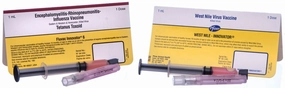 Zoetis Complete Horse Vaccination Kit with West Nile (6-Way Vaccine   WNV)